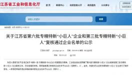 國家級認(rèn)可！民族涂料龍頭榮膺專精特新“小巨人”榮譽(yù)！