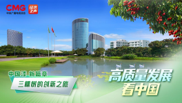 中國漆 新篇章：三棵樹的創新之旅