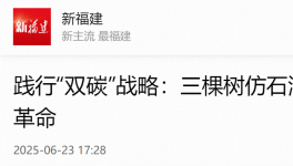 踐行“雙碳”戰(zhàn)略：三棵樹仿石漆引領(lǐng)建筑涂料綠色革命